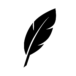 Aesthetic Elite Solution Corp